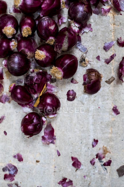 Kleine glänzende rote Zwiebeln und Schalen auf grauem Hintergrund. — Stockfoto