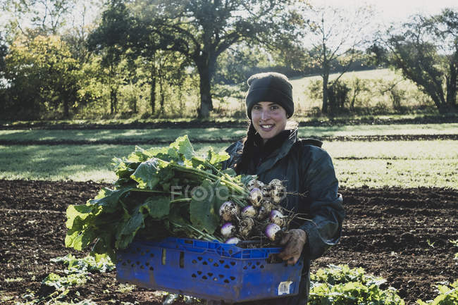 Donna sorridente in piedi sul campo, che tiene una cassa blu con rape raccolte, guardando in camera . — Foto stock