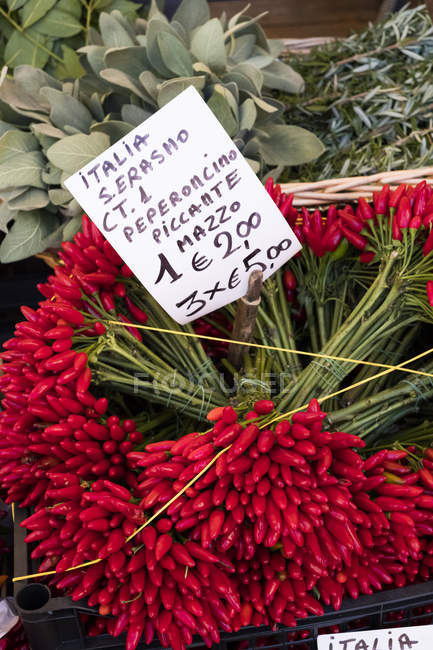 Primo piano ad angolo alto di un grande mazzo di peperoncini rossi freschi al banco del mercato italiano . — Foto stock