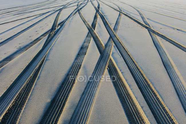 Pistas de neumáticos en superficie blanda de arena en la playa . - foto de stock