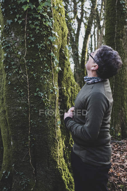 Homem em pé na floresta, olhando para a árvore coberta de musgo e hera . — Fotografia de Stock