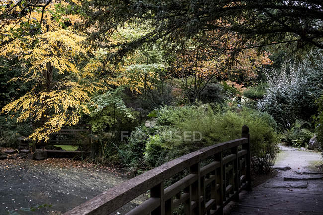 Passerelle et arbustes dans un jardin de style japonais à Oxfordshire, Angleterre — Photo de stock