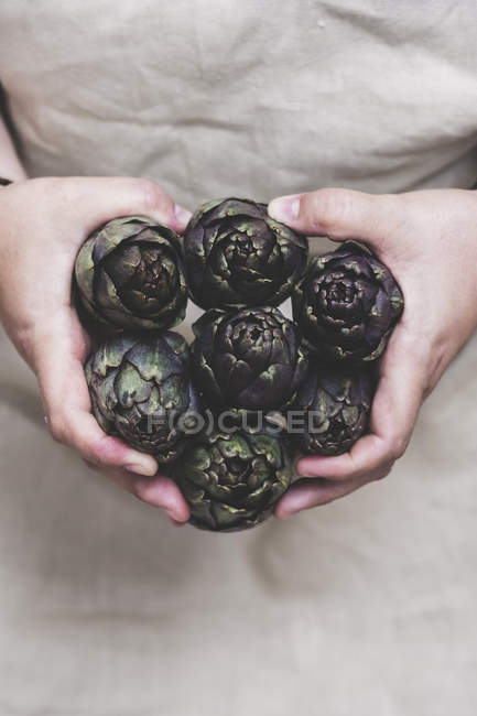 Close-up of person holding bunch of fresh artichokes. — Stock Photo