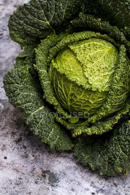 Still life of fresh round green savoy cabbage. — Stock Photo