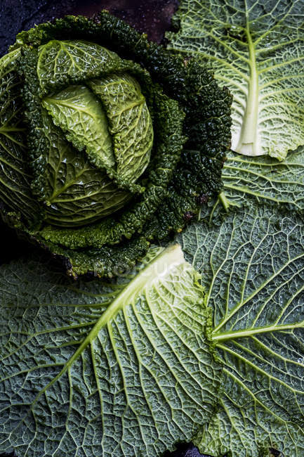 Still life of fresh round green savoy cabbages. — Stock Photo