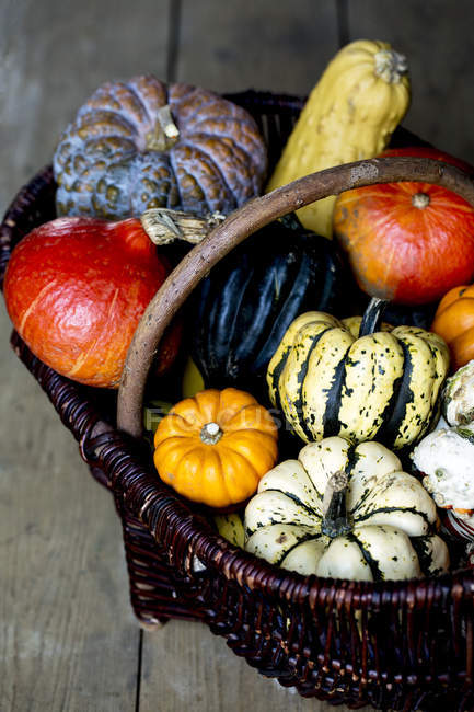High angle view of basket with variety of fresh harvested pumpkins. — Stock Photo