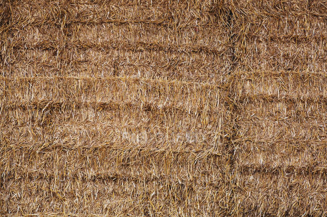 Full frame of neatly stacked straw in bale. — Stock Photo