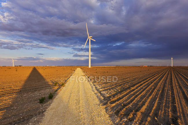 Вітрові турбіни в заміському полі під хмарним пейзажем — стокове фото