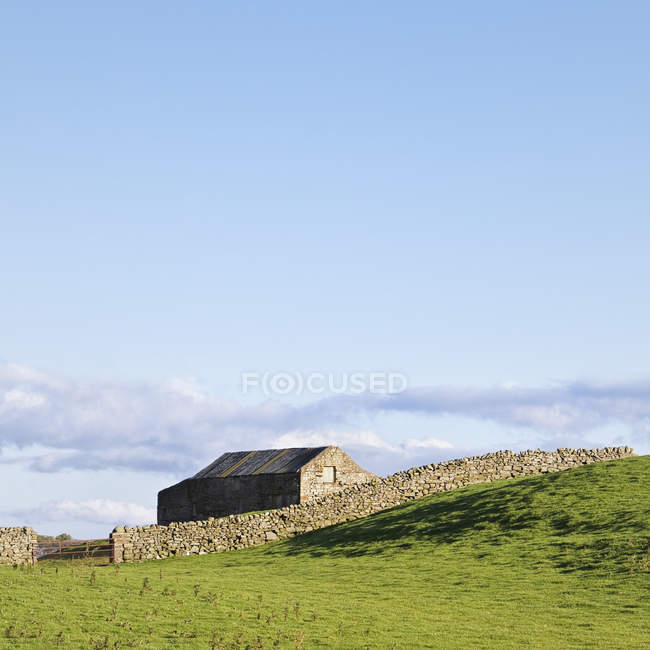 Сарай і суха кам'яна стіна, Венследейл, Національний парк йоркширських землі, Англія — стокове фото