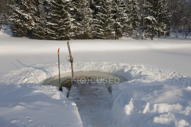Furo de gelo na floresta rural no inverno, Estónia, Europa — Fotografia de Stock