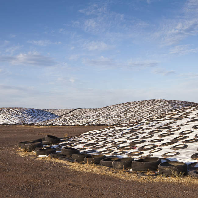 Tarps que cobrem montes de estrume de vaca no deserto — Fotografia de Stock