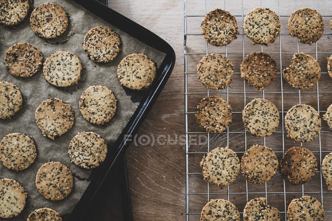 Visão de alto ângulo de biscoitos semeados recém-assados na bandeja de cozimento e no rack de refrigeração . — Fotografia de Stock