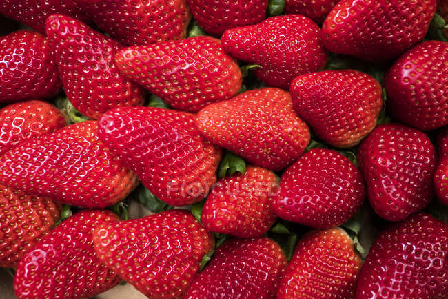 Frische fruchtige rote reife Erdbeeren, voller Rahmen — Stockfoto