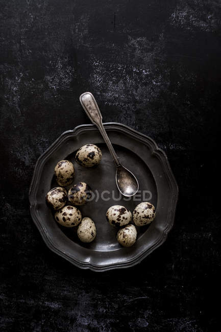 Placa de estaño con pequeños huevos de codorniz manchados y cuchara vintage, vista superior . - foto de stock