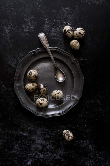 Pewter plate with small spotted quail eggs and vintage spoon, top view. — Stock Photo