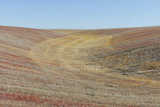 Сельская сцена с холмами и сельскохозяйственными угодьями в Палузе, Вашингтон, США — стоковое фото