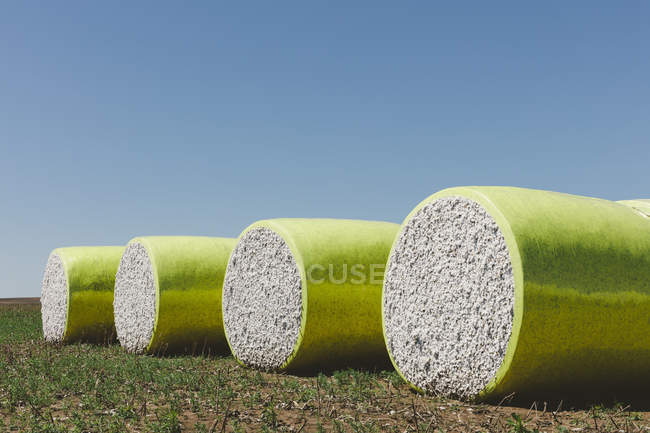 Fardos de algodón cosechados envueltos en vinilo de plástico amarillo en Great Plains, Kansas, EE.UU. - foto de stock