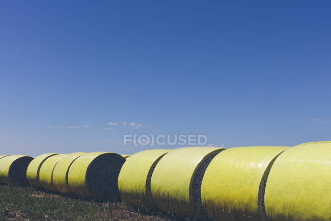 Geerntete Baumwollballen in gelbem Kunststoff-Vinyl in großen Ebenen, Kansas, USA gewickelt — Stockfoto