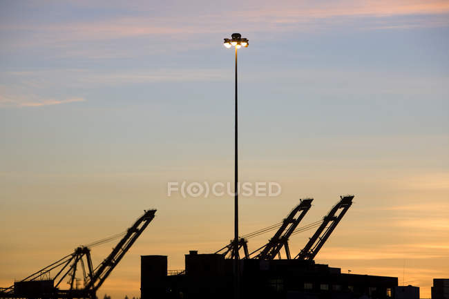 Lightpost і навантажувальні крани в порту Сіетл, Вашингтон, США — стокове фото
