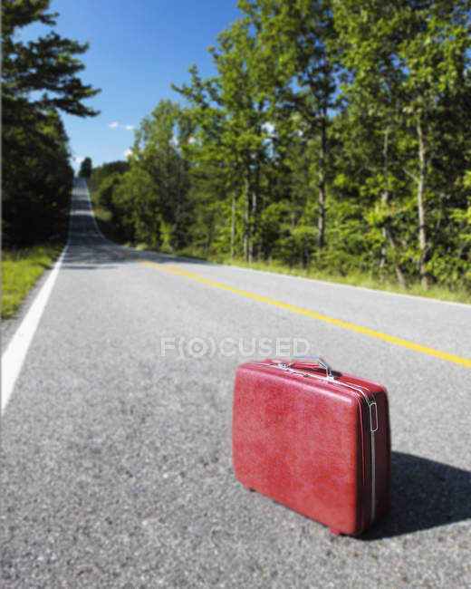 Red suitcase on road through green woodland — Stock Photo