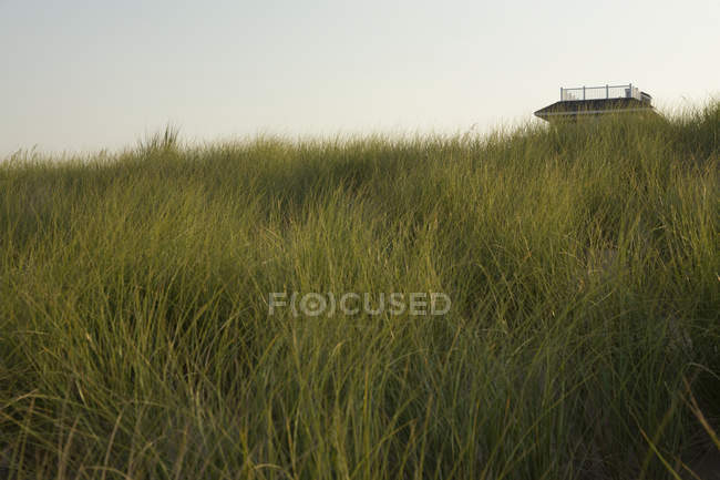 Dune di sabbia ed erba sulla spiaggia, casa al mare in lontananza, Virginia, USA — Foto stock