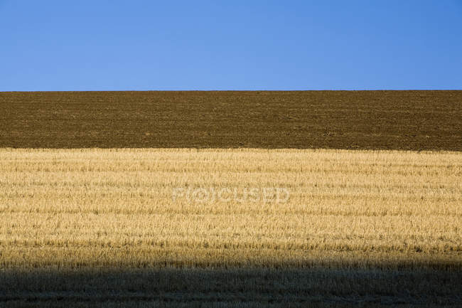 Terres agricoles récoltées, Palouse, Washington, États-Unis — Photo de stock