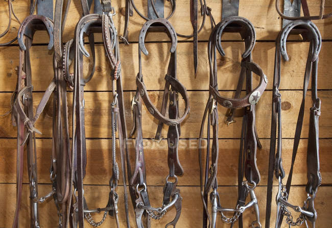 Close-up of industrial halters in tack room wooden wall — Stock Photo