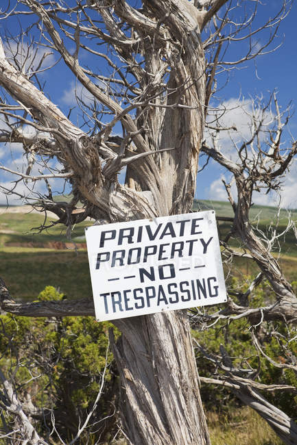 На сухом дереве в сельской местности штата Юта, США, висит знак 