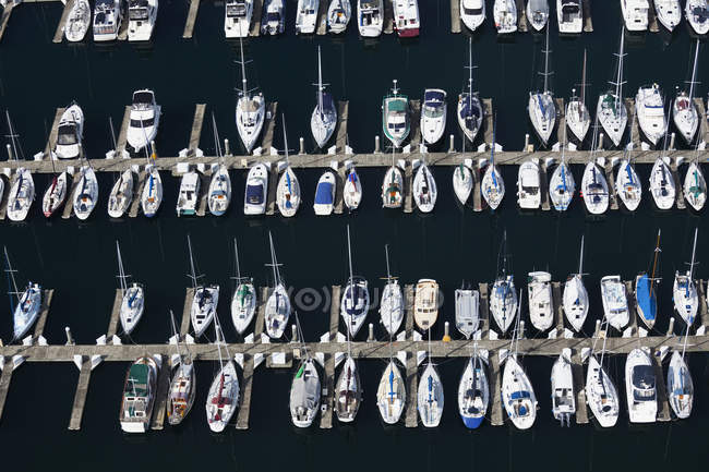 Vista aérea de barcos em Marina, Seattle, Washington, Estados Unidos — Fotografia de Stock