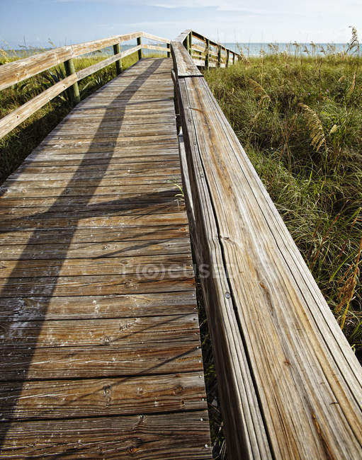 Boardwalk on grassy beach with waterscape in distance, Florida, USA — Stock Photo