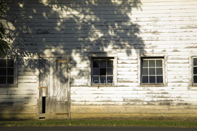 Ancien bâtiment de ferme avec revêtement en bois pelant et fenêtres avec ombre d'arbre . — Photo de stock