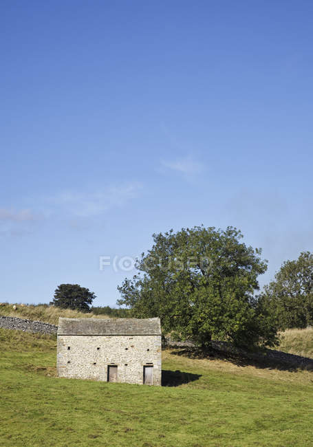 Steinscheune auf der Wiese des Nationalparks yorkshire dales, wensleydale, yorkshire dales, vereinigtes Königreich — Stockfoto