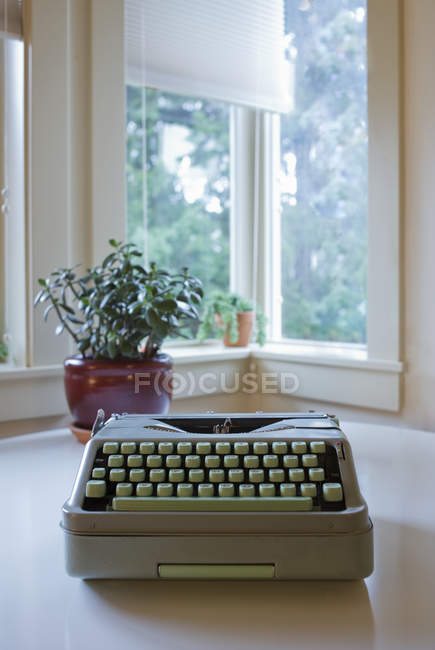 Антикварна друкарська машинка і домашня рослина на столі вікном — стокове фото
