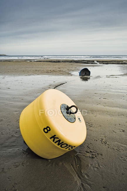 Bouée sur plage mouillée, Yorkshire, Angleterre, Royaume-Uni — Photo de stock