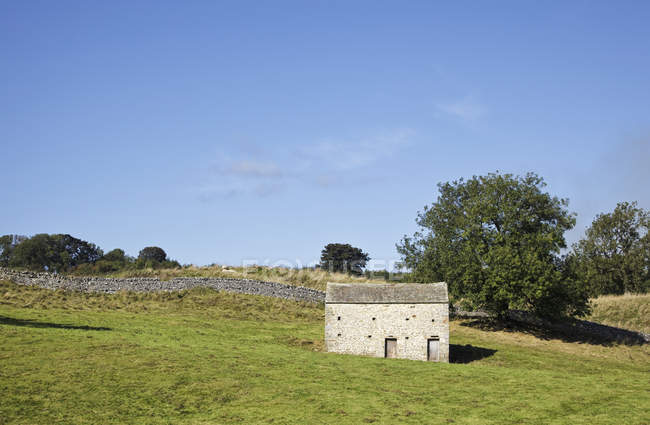 Stone barn in Yorkshire Dales National Park, Wensleydale, Yorkshire Dales, Regno Unito — Foto stock