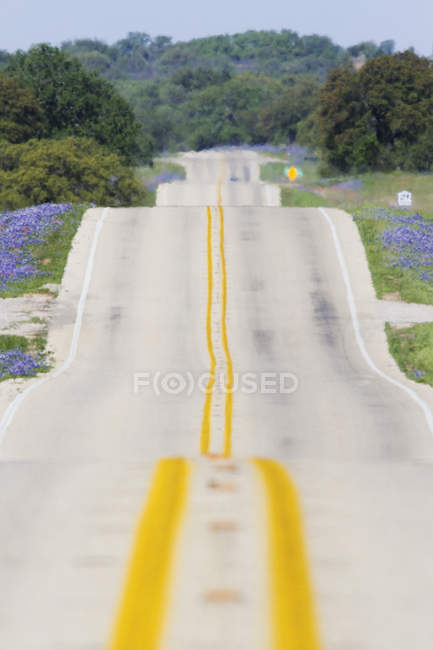 Scenic country road through hills with flowering field — Stock Photo