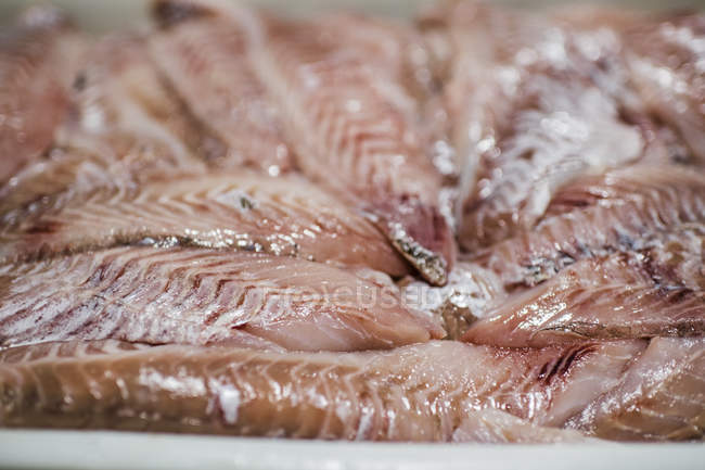 Nahaufnahme von frisch filetiertem Fisch am Fischmarktstand. — Stockfoto