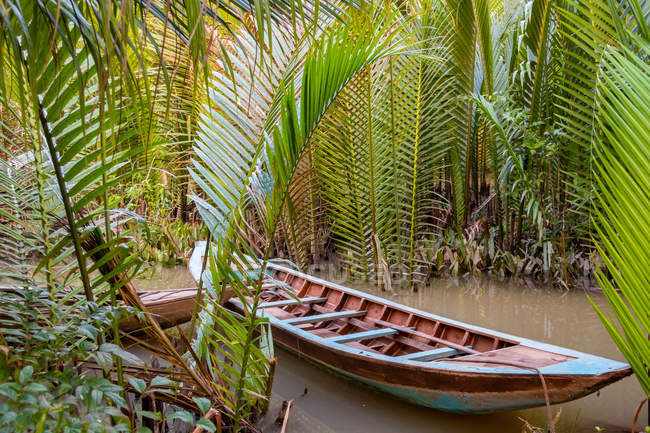 Традиционная лодка пришвартована между пальмами в дельте Меконга, Вьетнам . — стоковое фото