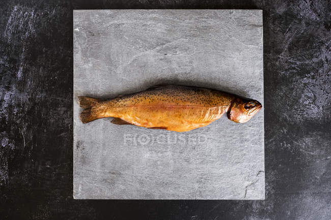 High angle close-up of one fresh smoked whole trout on grey background. — Stock Photo