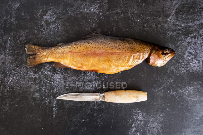 High angle close-up of one fresh smoked whole trout and knife on black slate. — Stock Photo