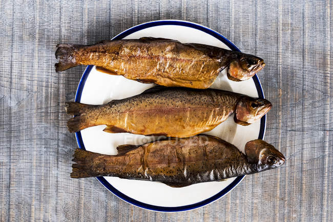 High angle close-up of three fresh smoked whole trouts on white plate. — Stock Photo