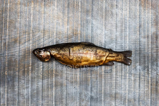 High angle close-up of one fresh smoked whole trout on wooden table. — Stock Photo