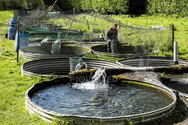 High angle view of man in waders working at water tanks at fish farm. — Stock Photo