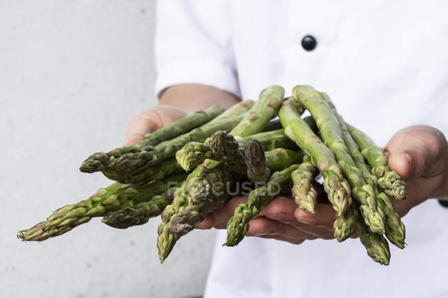 Close-up de chef segurando monte de espargos verdes . — Fotografia de Stock