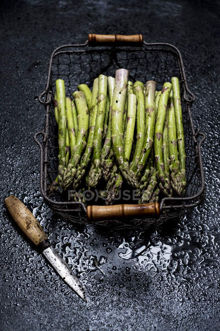 High angle view of freshly picked green asparagus in metal basket. — Stock Photo