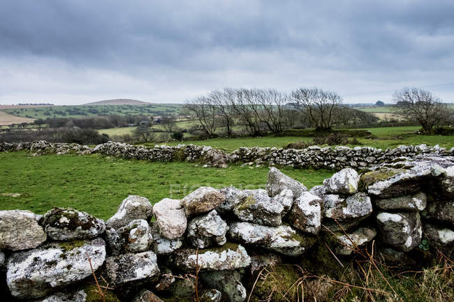 Landscape with dry-stone wall dividing fields, row of trees and hills in distance, Cornwall, England, United Kingdom. — Stock Photo