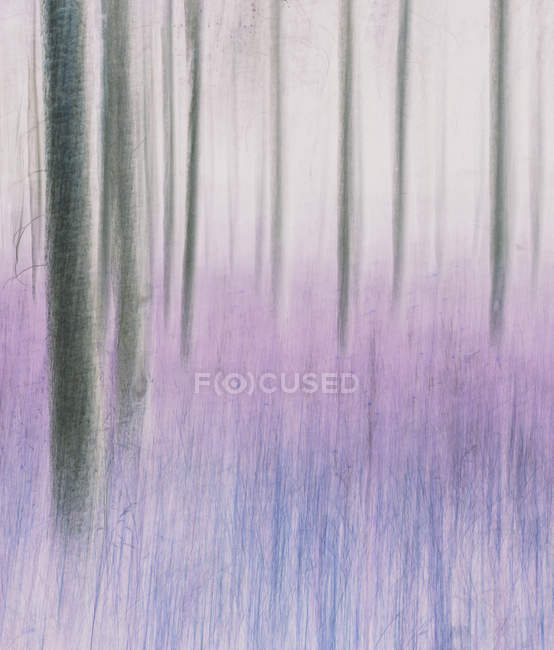 Blurred motion abstract of lodgepole pine forest and meadow. — Stock Photo