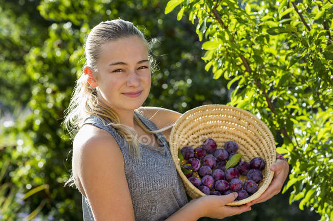 Portrait of smiling teen girl holding basket of plums. — Stock Photo