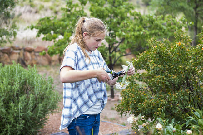 Blondes Teenager-Mädchen schneidet Rosenblüten aus dem Garten. — Stockfoto