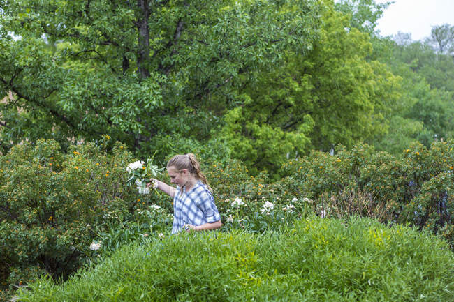 Rubia adolescente cortando flores de rosas de jardín formal
. - foto de stock